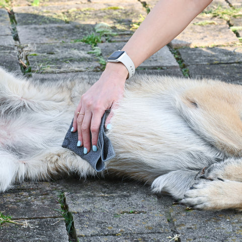 Dog Skin Soother Balm (2oz) - Dog Lotion for Dry Itchy Skin (3 Pack) Dog Skin Soother Balm (2oz) - Dog Lotion for Dry Itchy Skin (3 Pack)