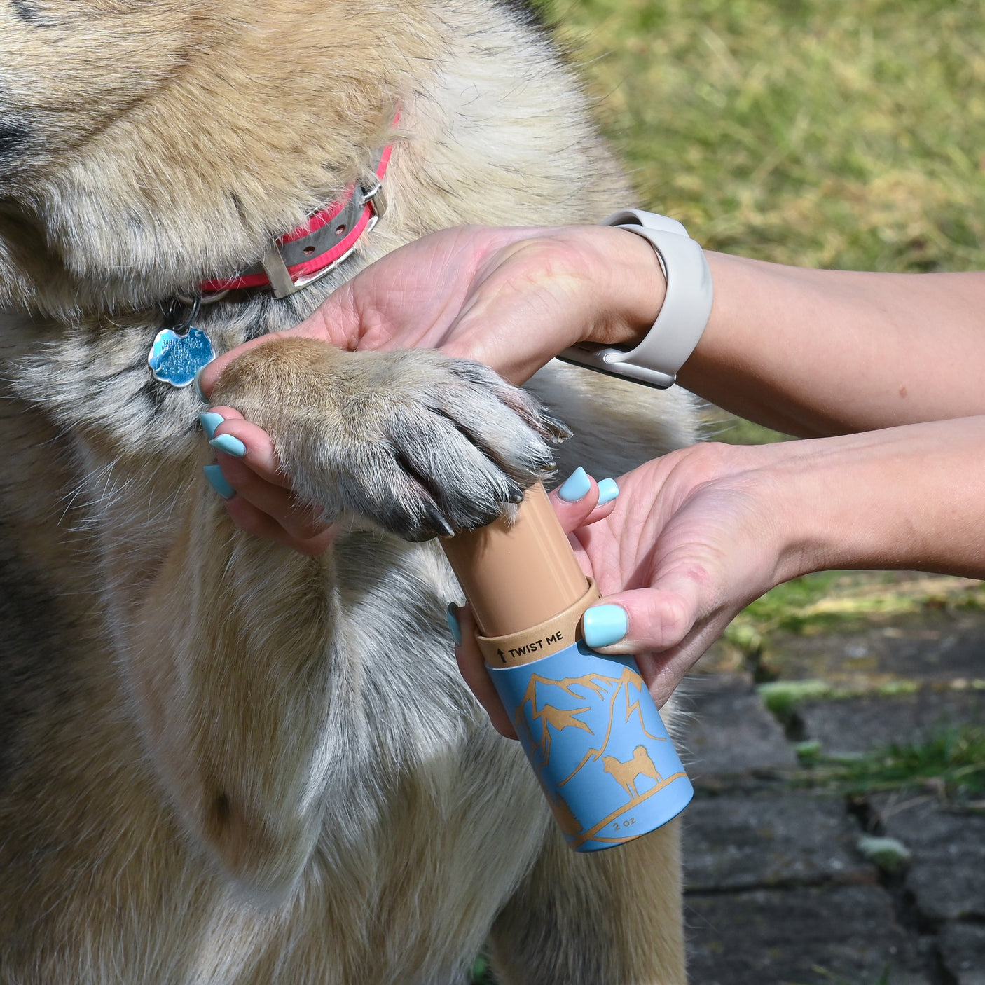 Dog Paw Snow Wax
