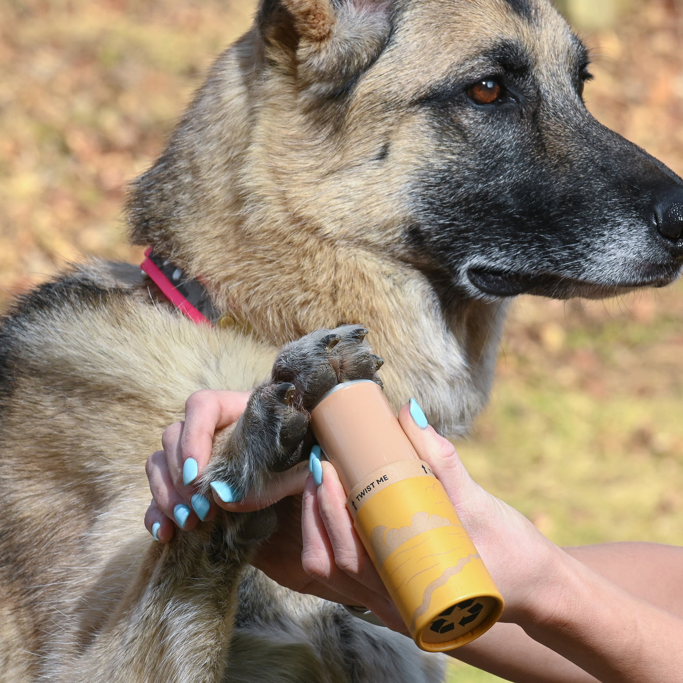 Summer Paw Pack - Protective Beach Wax and Street Wax (2 Pack)