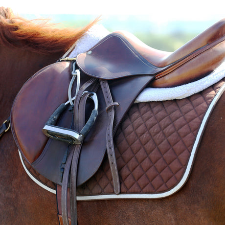 Clean leather tack and riding gear sit on top of a brown horse.