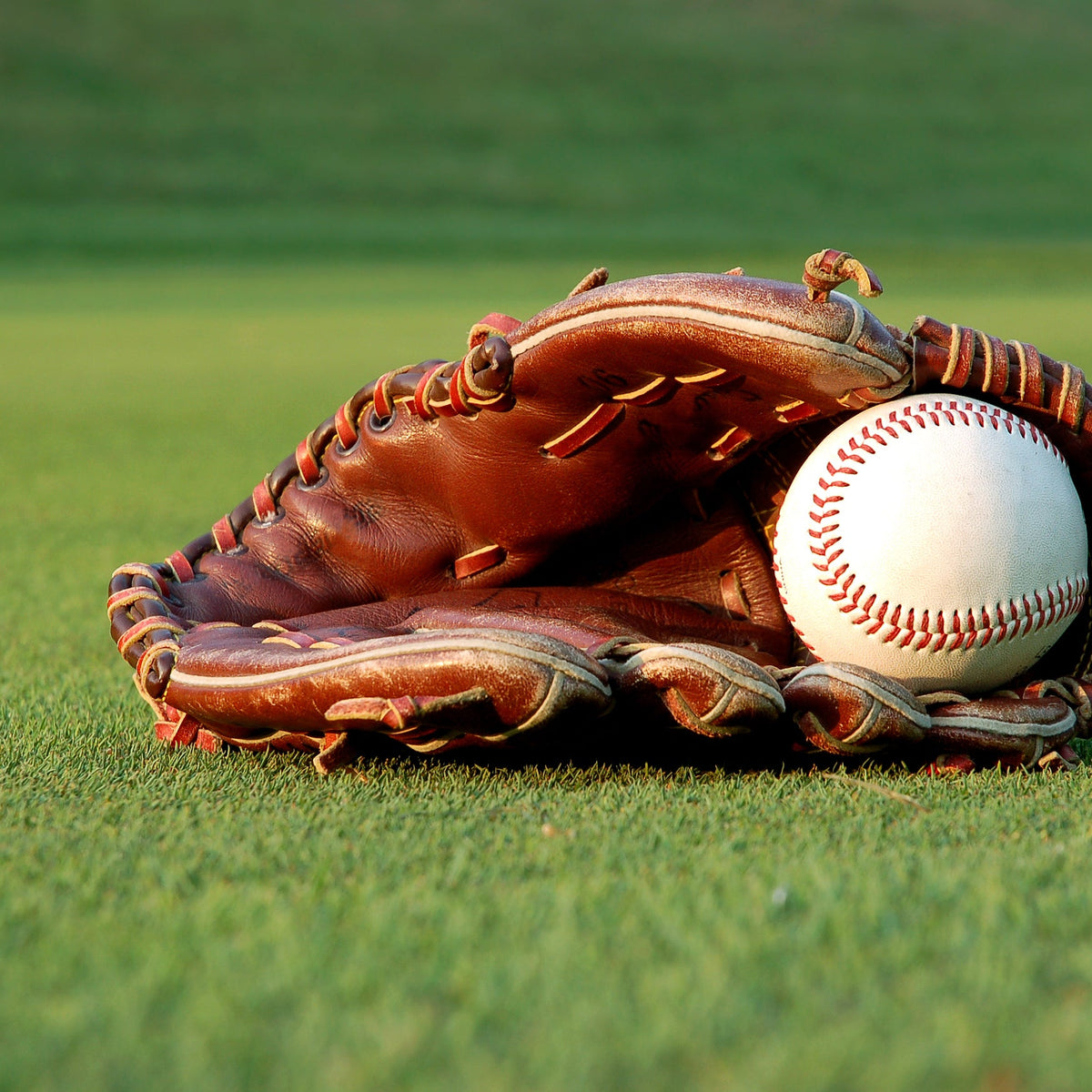 Baseball Glove Care – Rhino Wax
