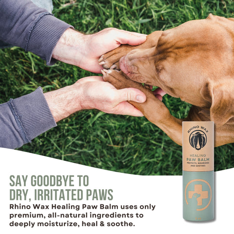Dog Paw Balm - 100% Natural Dog Paw Protection (2 Pack)