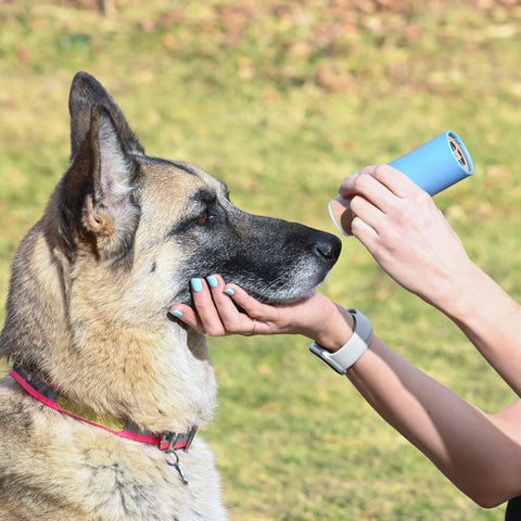 Dog Nose Balm - Natural Dog Snout Soother and Nose Treatment