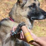 Summer Paw Pack - Protective Beach Wax and Street Wax (2 Pack)