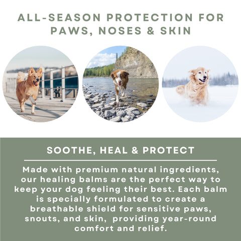 Dog Soothing and Healing Kit - Paw Balm, Skin Balm, & Nose Balm (2oz Tubes)